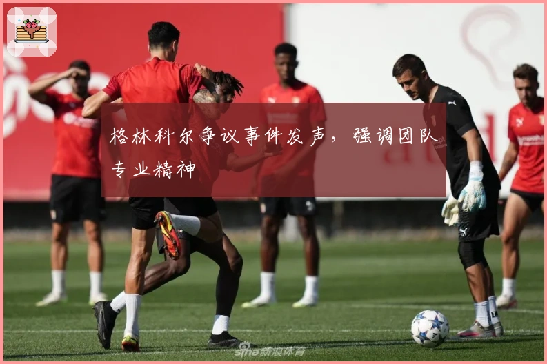 格林科尔争议事件发声，强调团队专业精神