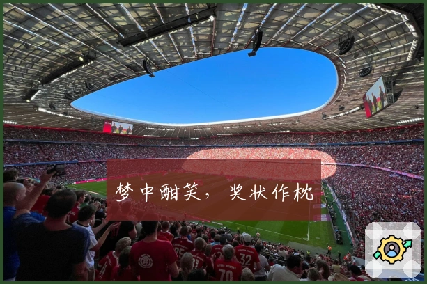 梦中酣笑,奖状作枕